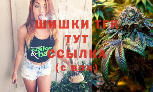 мдпв Верхний Тагил